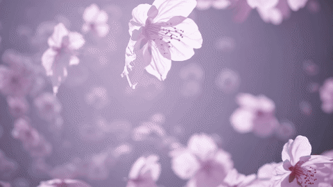 ROK BL. MATKY ALEXIE